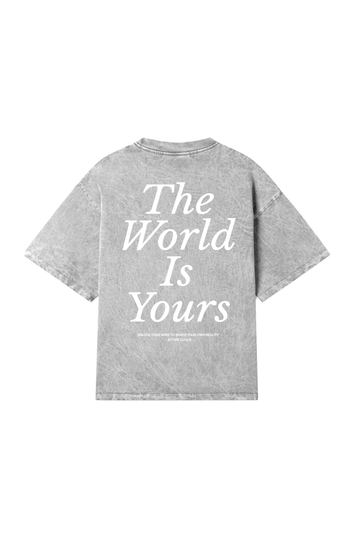 THE WORLD IS YOURS GRAPHIC TEE | VINTAGE GREY