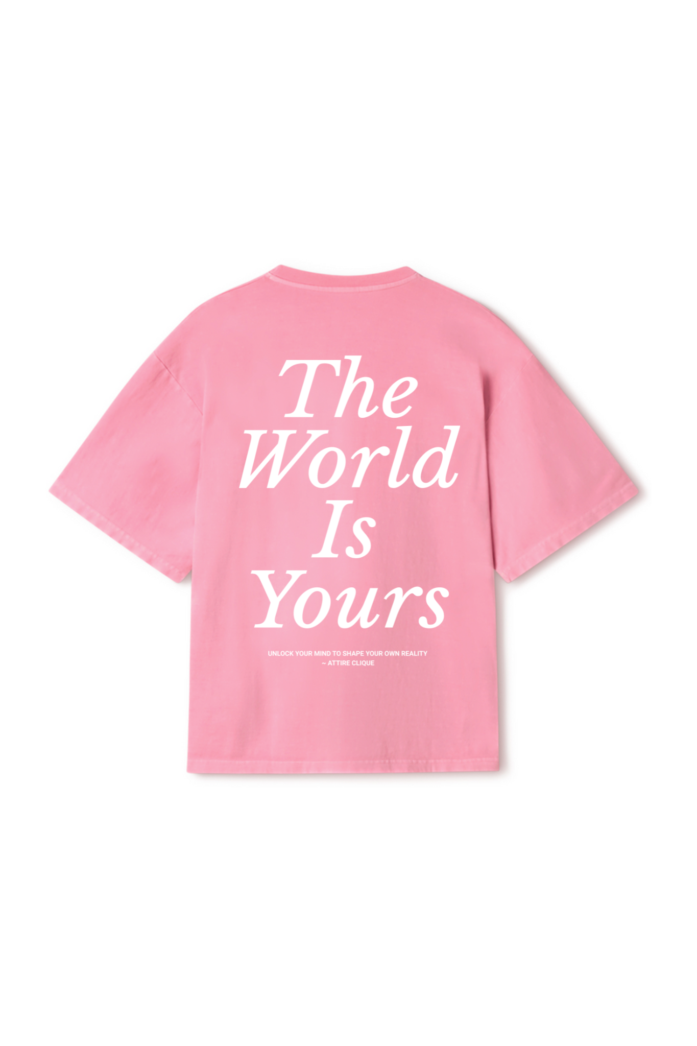 THE WORLD IS YOURS GRAPHIC TEE | PINK DUST